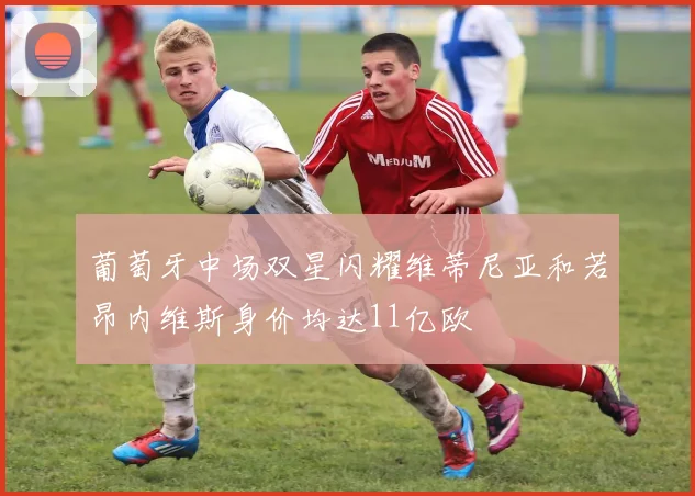 葡萄牙中场双星闪耀维蒂尼亚和若昂内维斯身价均达11亿欧