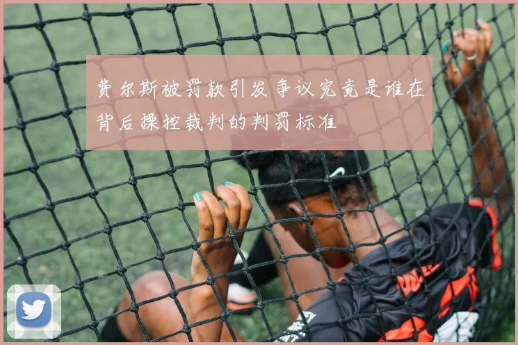 费尔斯被罚款引发争议究竟是谁在背后操控裁判的判罚标准