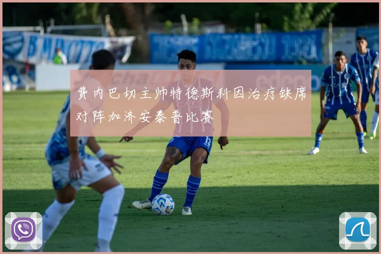 费内巴切主帅特德斯科因治疗缺席对阵加济安泰普比赛
